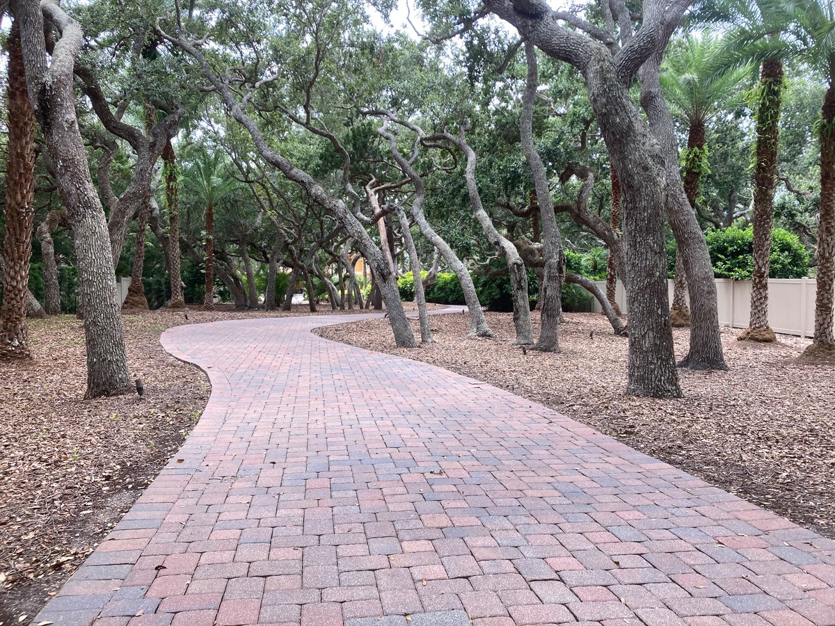 TheStoneMatador's tweet image. I got a package for my neighbor today, 2 driveways down, behind a gate…nice landscaping, opposite of my property. Their lot goes all the way back to river & was one of the original 5 -2acre lots “my neighbors”…. All the lots have the crazy coastal oaks. I’d like to go in their…