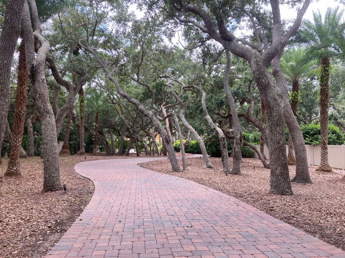 TheStoneMatador's tweet image. I got a package for my neighbor today, 2 driveways down, behind a gate…nice landscaping, opposite of my property. Their lot goes all the way back to river & was one of the original 5 -2acre lots “my neighbors”…. All the lots have the crazy coastal oaks. I’d like to go in their…