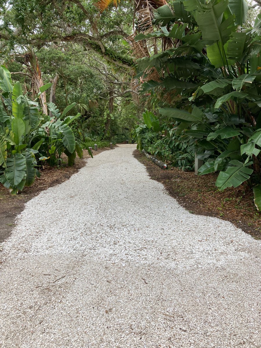 TheStoneMatador's tweet image. I got a package for my neighbor today, 2 driveways down, behind a gate…nice landscaping, opposite of my property. Their lot goes all the way back to river & was one of the original 5 -2acre lots “my neighbors”…. All the lots have the crazy coastal oaks. I’d like to go in their…
