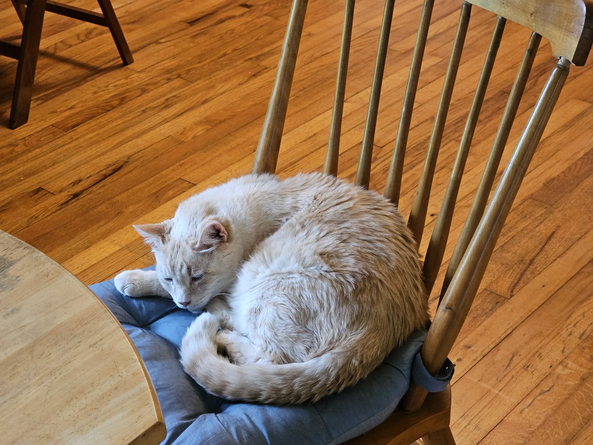 bfitzinAR's tweet image. Wrapping up. Still July. Still hot. Takeout Chinese for dinner. 🐈💤
Healing/Helping/Protecting Energy to all who accept it. 🕯🙏for all in pain or peril or both. For any reason. G'night. Y'all keep each other safe, secure, comfortable. Comforted. 💕💕💕