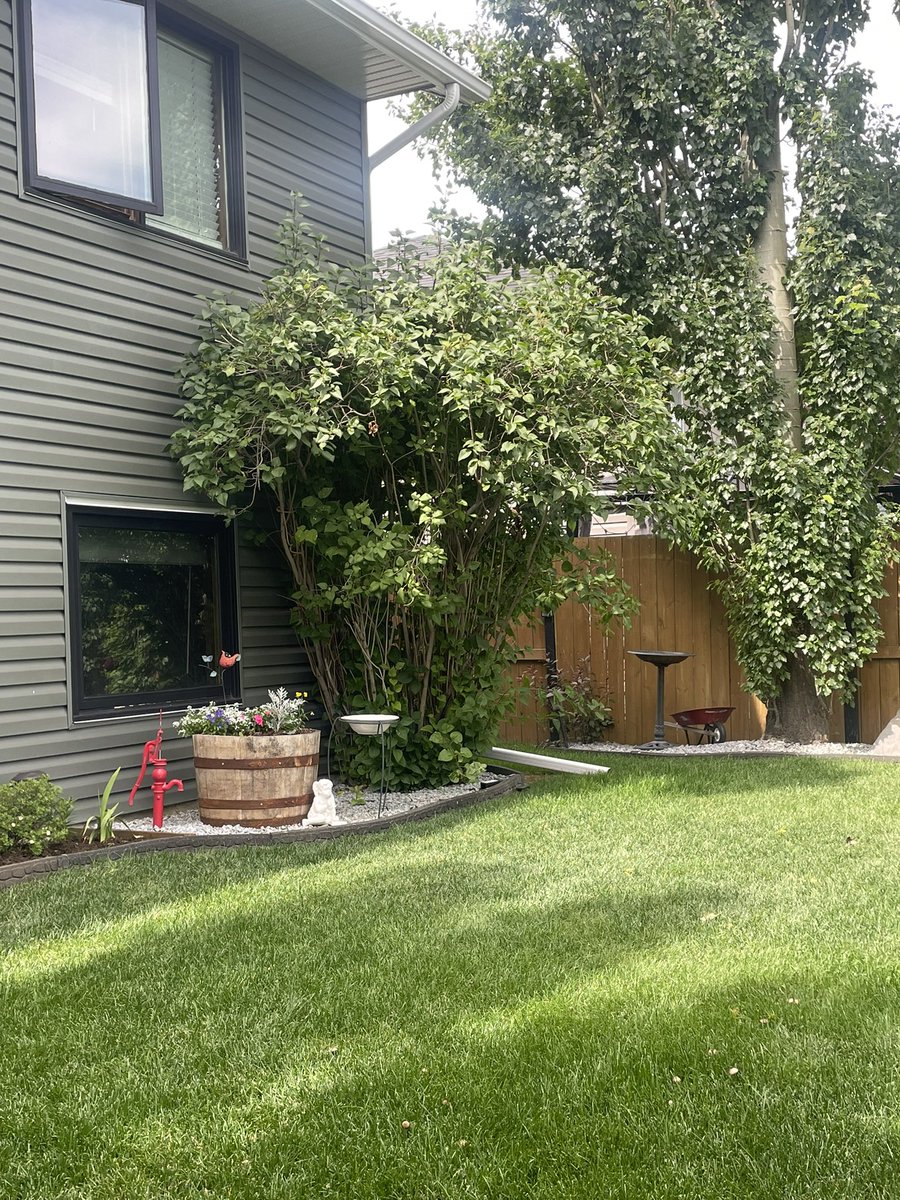 Birdhouse7S's tweet image. Arrived safely at the Airport and already here in Calgary. Off to visit a Twitter friend then a bbq with my sister.