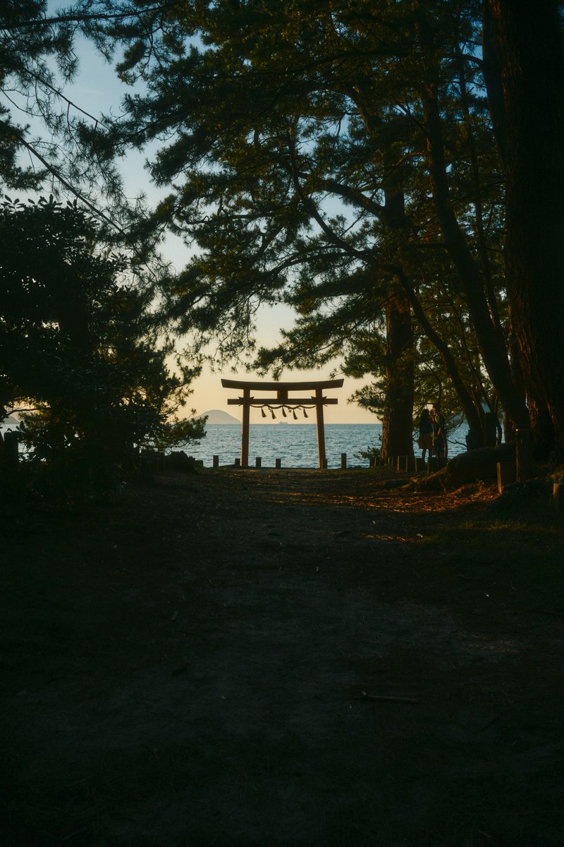 shintake_photo's tweet image. Fragments of Life