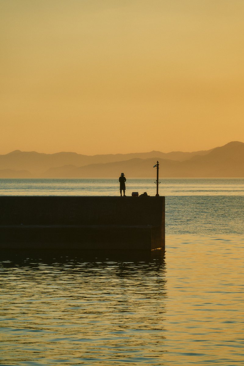 shintake_photo's tweet image. Fragments of Life