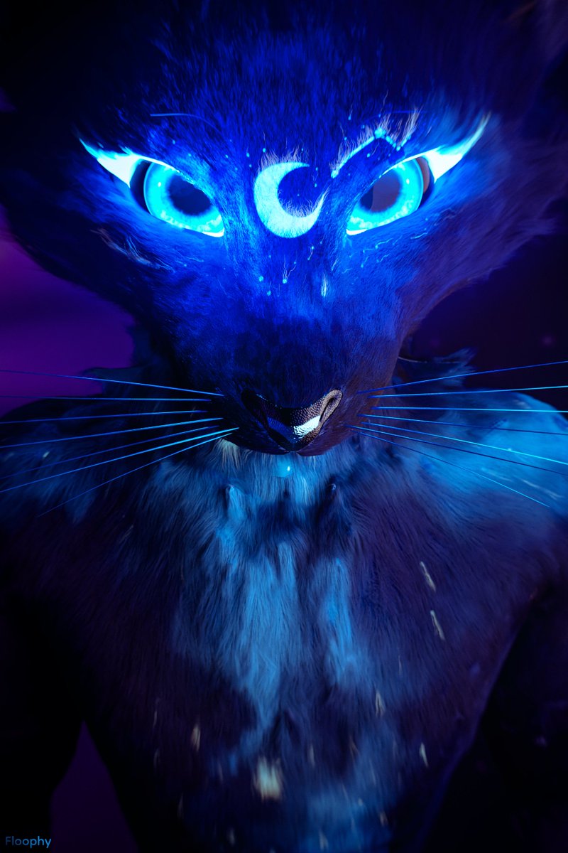 Floophythefluff's tweet image. He fluffy.