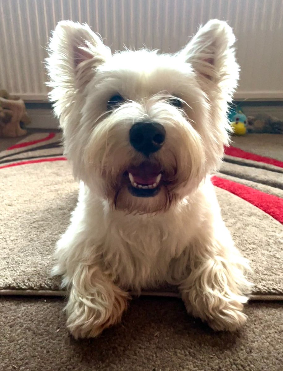 Wow Dese dwawins are bwilliant. Do yoo fink he mite dwaw me?