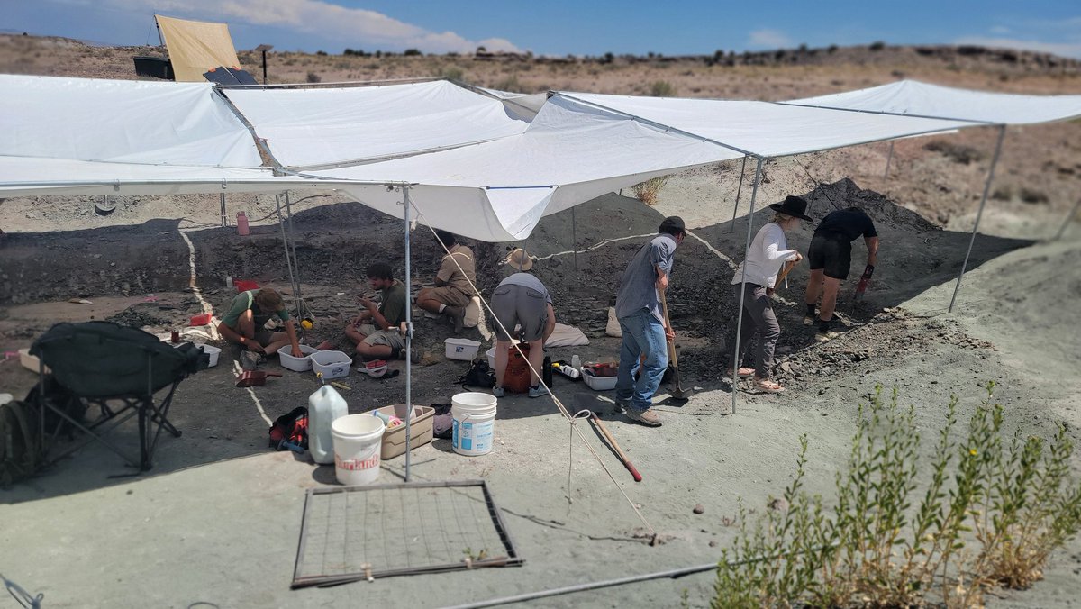 Paleojim's tweet image. Shade tarps are nice in the desert sun, but even the best system can only take so strong a gust of wind. Sadly, when the pole failed, Don DeBlieux got his cut by pipe and is now off getting stitches.