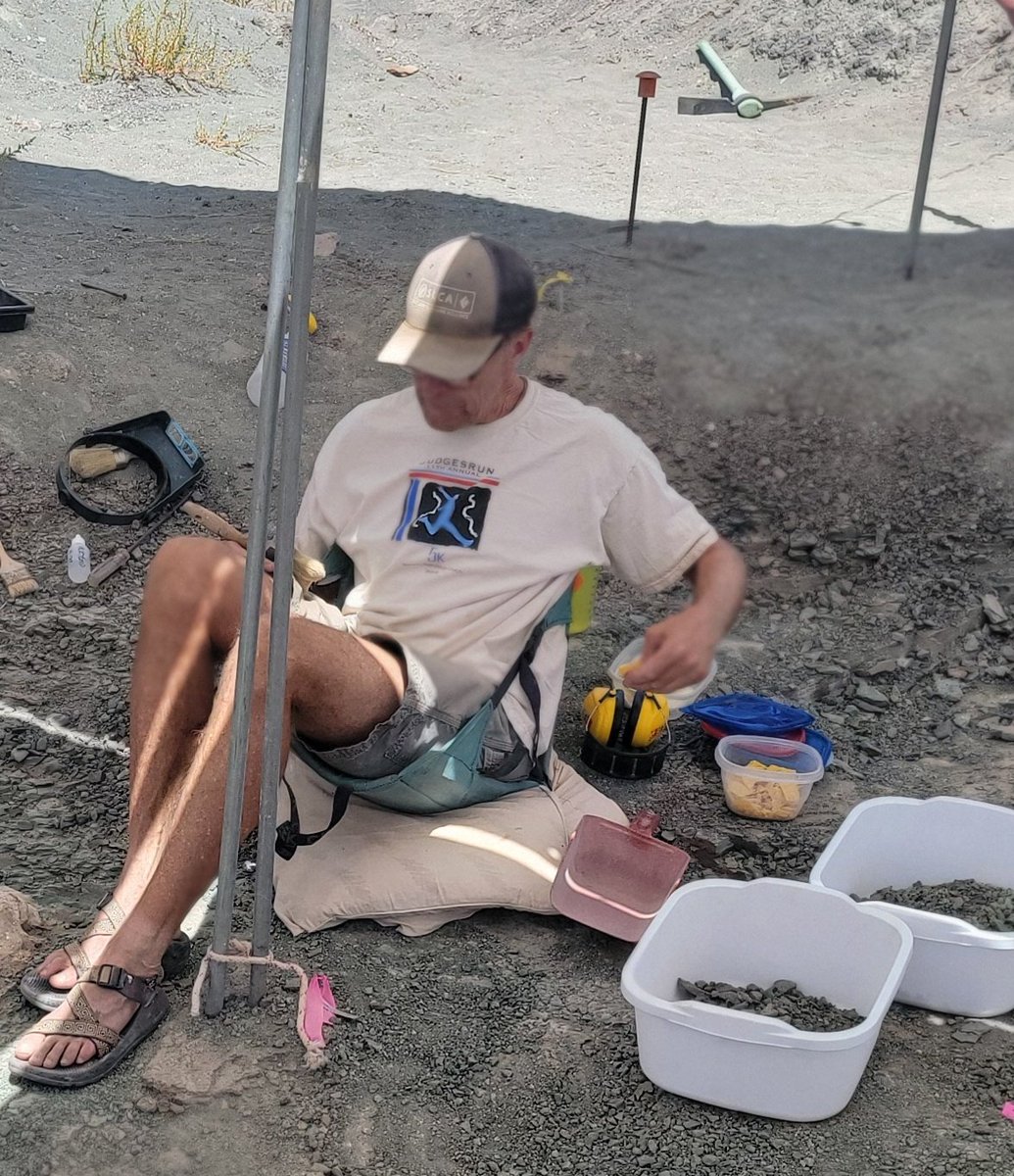 Paleojim's tweet image. Shade tarps are nice in the desert sun, but even the best system can only take so strong a gust of wind. Sadly, when the pole failed, Don DeBlieux got his cut by pipe and is now off getting stitches.