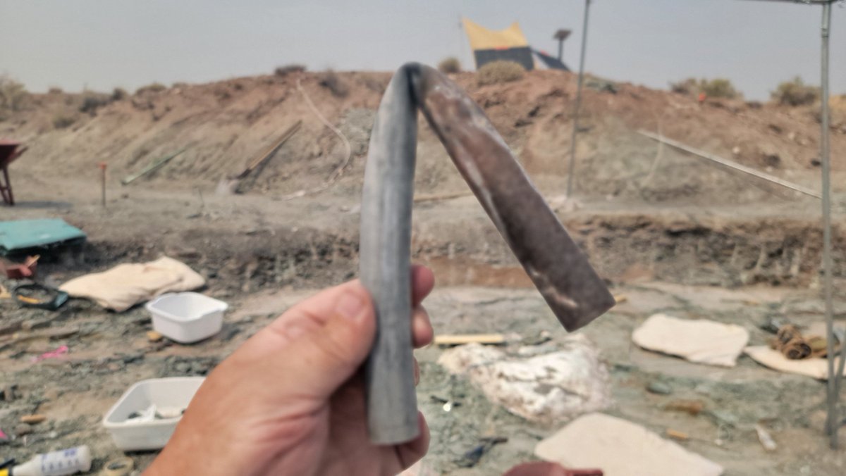 Paleojim's tweet image. Shade tarps are nice in the desert sun, but even the best system can only take so strong a gust of wind. Sadly, when the pole failed, Don DeBlieux got his cut by pipe and is now off getting stitches.