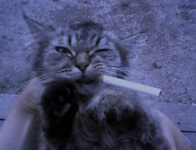 ✞ 🗝️ (@hakaelll) on Twitter photo 