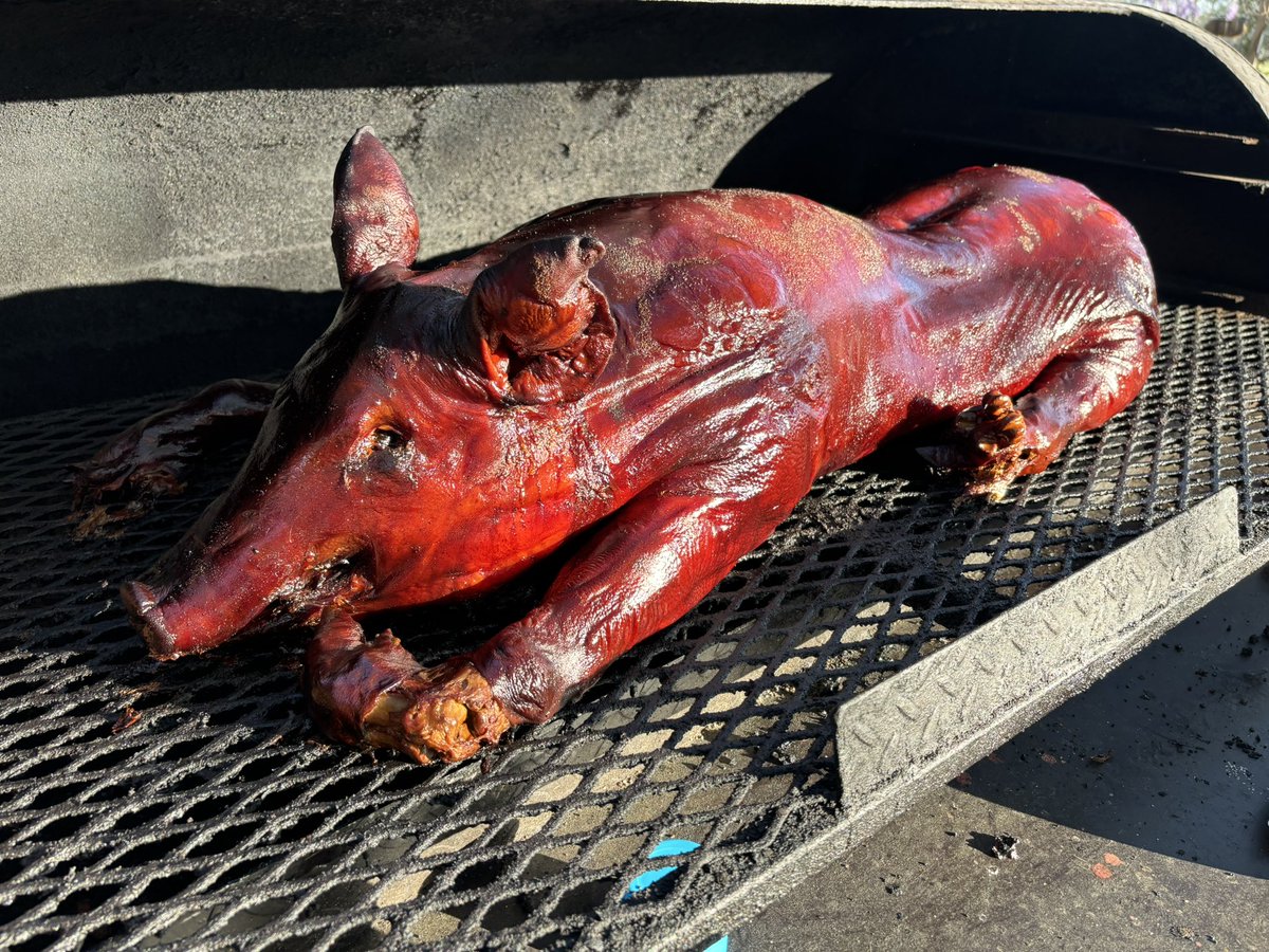 TheSCBBQCo's tweet image. Swine Time on a whole hog???