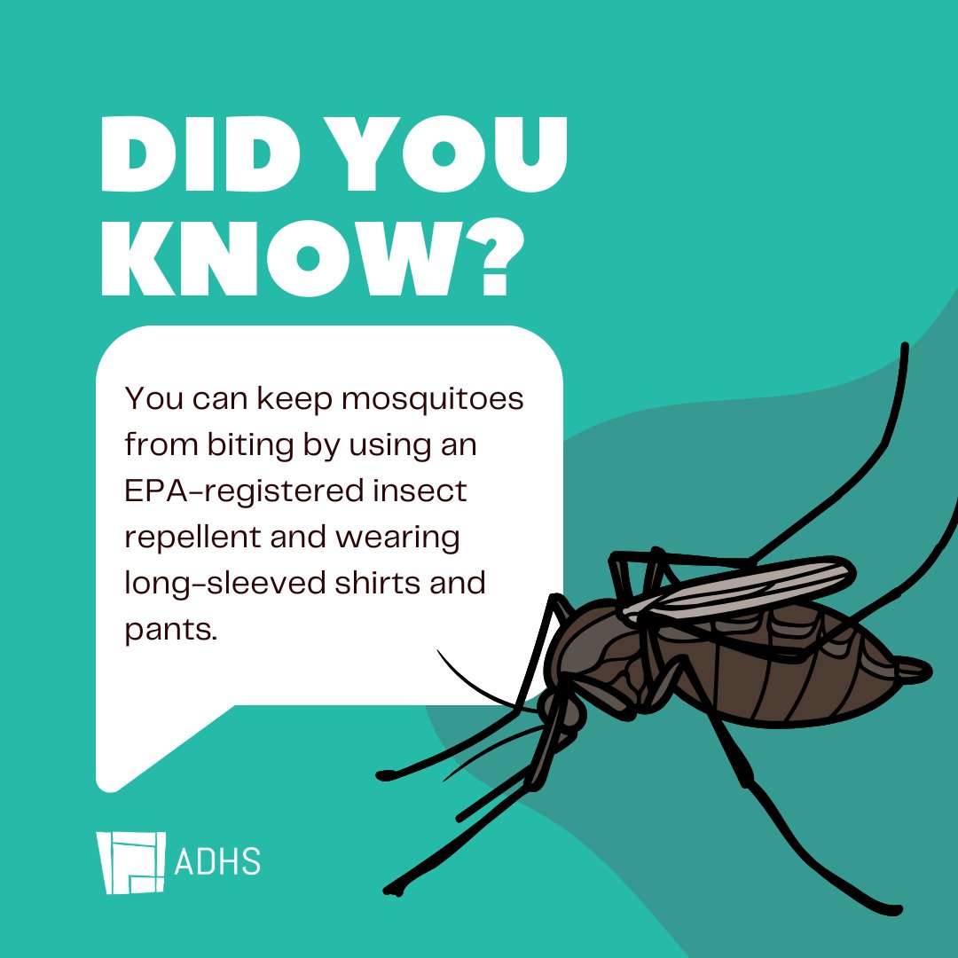 AZDHS's tweet image. Think it’s too hot for mosquitos? Think again! 

Check out ways to prevent mosquito bites: 1.azdhs.gov/4cGw8C4