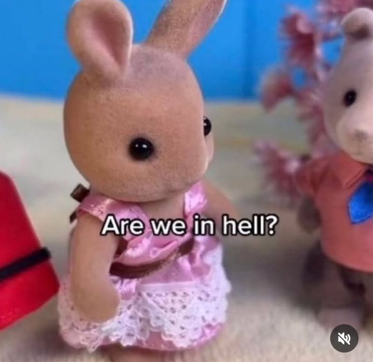 milkstrology's tweet image. leo placements, one day into leo season with mercury retrograde in leo: