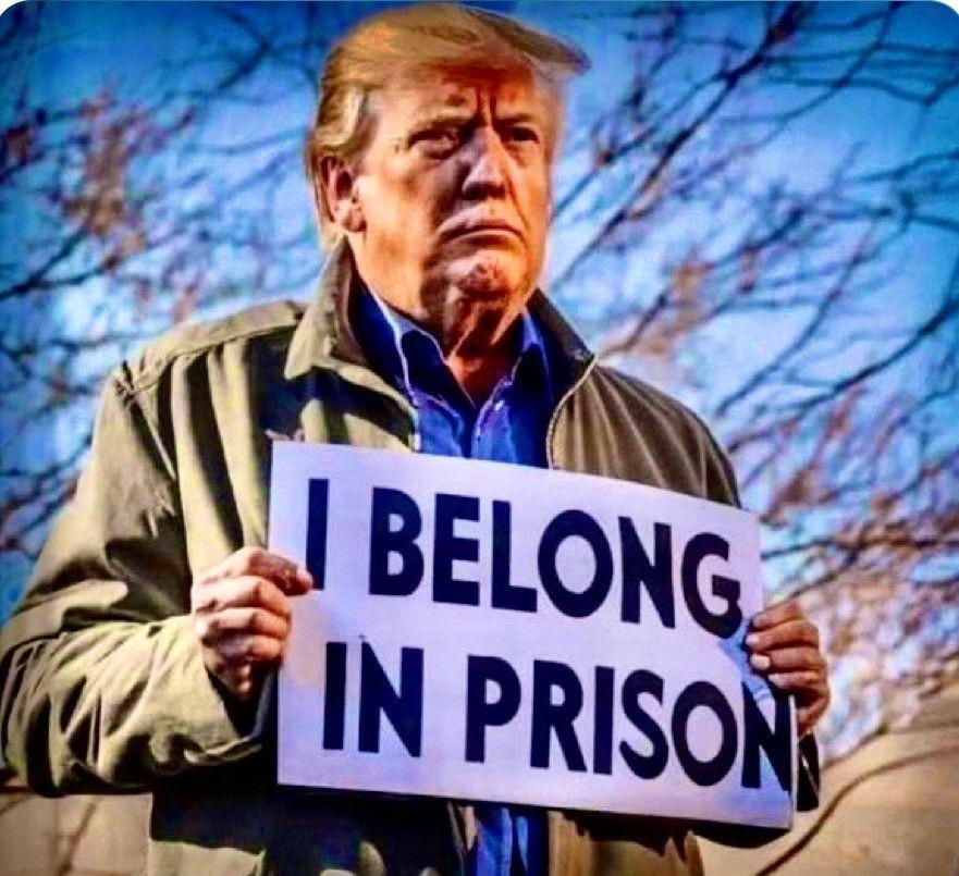 A_NHDogLover's tweet image. #TraitorTrump
#PedoPresident
Prison or beside Ivana. Agree?