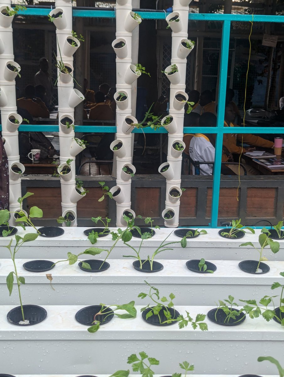 KajumbaPrisca's tweet image. Today at @namungongo65399, I saw students turning sunlight into power and classrooms into hubs of innovation. ♻️ Repurposing plastic waste, ☀️ harnessing clean energy solutions and🌱 growing food through hydroponics and urban gardens.
Integrating #ClimateEducation is a NECESSITY.