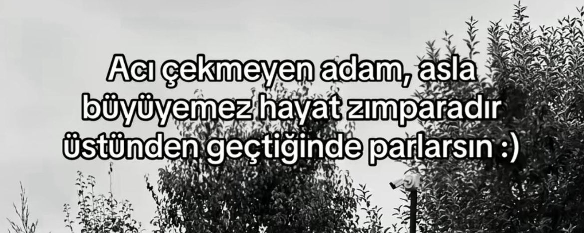 . (@yoldass69) on Twitter photo 