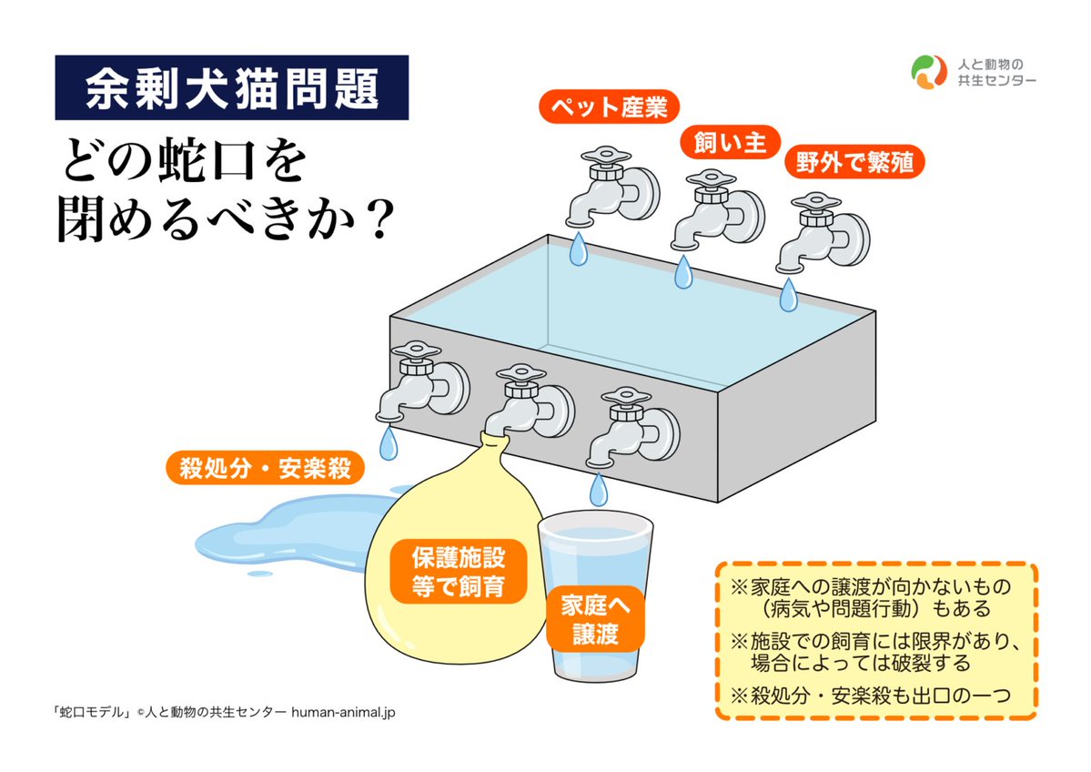 y_snc4u's tweet image. 今後、殺処分は増える可能性があると思います。今回はその話。

蛇口が開いている現場というのは、どこにあるのでしょうか？劣悪なブリーダーでしょうか？ペットショップでしょうか？違います。

人福祉現場です。…