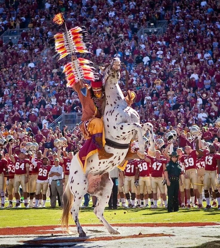 Mason Wilt (@masonwilt51) on Twitter photo After a great conversation with <a href="/CooperWilliams_/">Cooper Williams</a> I am thankful to have earned my 10th offer from Florida State University <a href="/Brett_McLean1/">Brett McLean</a> <a href="/the_ridge56/">Vern Ridgway</a> <a href="/DaleRodick/">Dale Rodick II</a> <a href="/CoachChad_T3/">Coach Chad</a> <a href="/GregSmithRivals/">Greg Smith</a> <a href="/AllenTrieu/">Allen Trieu</a> <a href="/adamgorney/">Adam Gorney</a> <a href="/On3sports/">On3</a> <a href="/SWiltfong_/">Steve Wiltfong</a> <a href="/Rivals/">Rivals</a> <a href="/FSU_Recruiting/">Seminoles Recruiting</a> <a href="/TomahawkNation/">Tomahawk Nation</a> After a great conversation with <a href="/CooperWilliams_/">Cooper Williams</a> I am thankful to have earned my 10th offer from Florida State University <a href="/Brett_McLean1/">Brett McLean</a> <a href="/the_ridge56/">Vern Ridgway</a> <a href="/DaleRodick/">Dale Rodick II</a> <a href="/CoachChad_T3/">Coach Chad</a> <a href="/GregSmithRivals/">Greg Smith</a> <a href="/AllenTrieu/">Allen Trieu</a> <a href="/adamgorney/">Adam Gorney</a> <a href="/On3sports/">On3</a> <a href="/SWiltfong_/">Steve Wiltfong</a> <a href="/Rivals/">Rivals</a> <a href="/FSU_Recruiting/">Seminoles Recruiting</a> <a href="/TomahawkNation/">Tomahawk Nation</a>