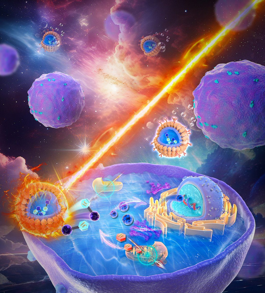 Run Zhang@Biosensing & Bioimaging (@runzhang2) on Twitter photo New paper in <a href="/J_A_C_S/">J. Am. Chem. Soc.</a>
A hypoxia-activated iridium(III) prodrug enables synergistic chemo–PDT by releasing a DNA-damaging drug and mitochondria-targeting photosensitizer. Folate nanocarriers enhance tumor targeting and therapeutic outcomes.
pubs.acs.org/doi/10.1021/ja… New paper in <a href="/J_A_C_S/">J. Am. Chem. Soc.</a>
A hypoxia-activated iridium(III) prodrug enables synergistic chemo–PDT by releasing a DNA-damaging drug and mitochondria-targeting photosensitizer. Folate nanocarriers enhance tumor targeting and therapeutic outcomes.
pubs.acs.org/doi/10.1021/ja…