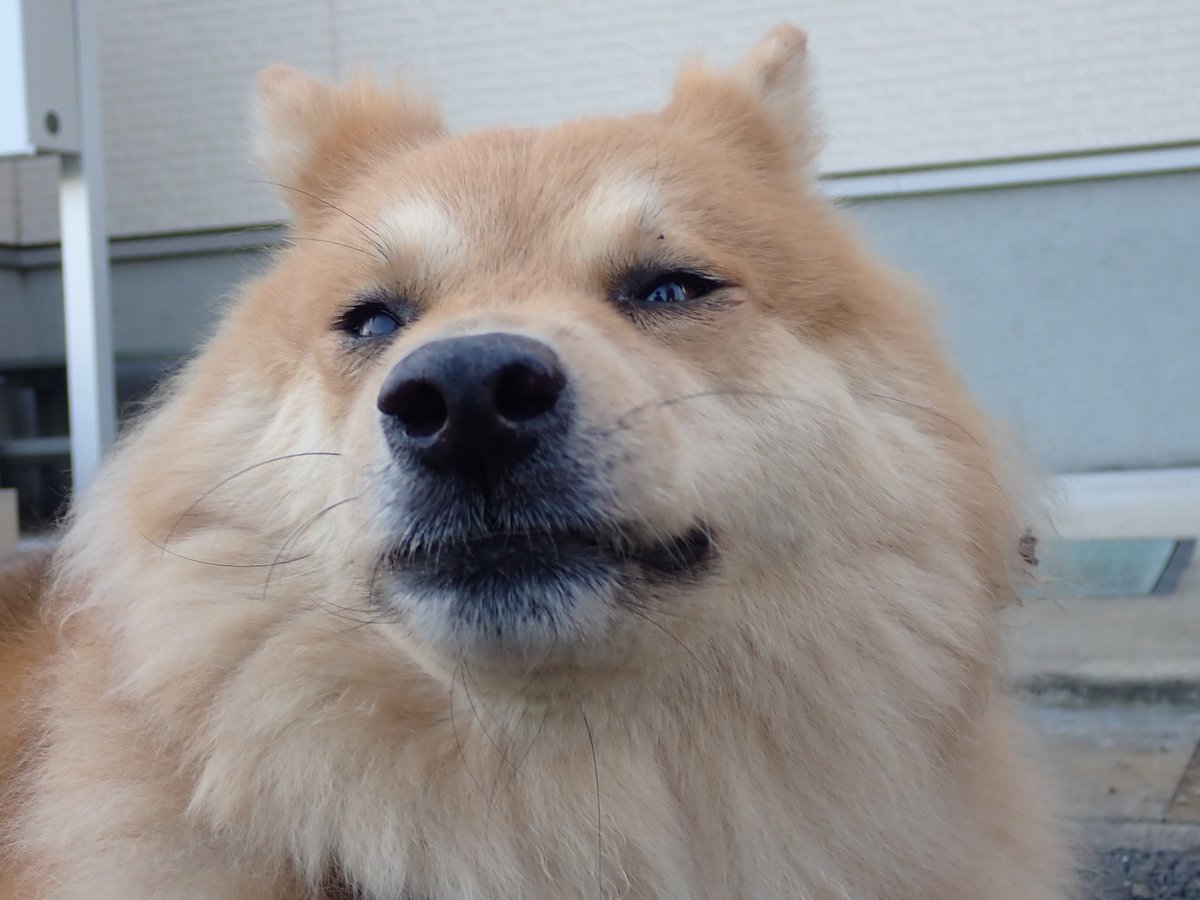 monaka_no_onaka's tweet image. 