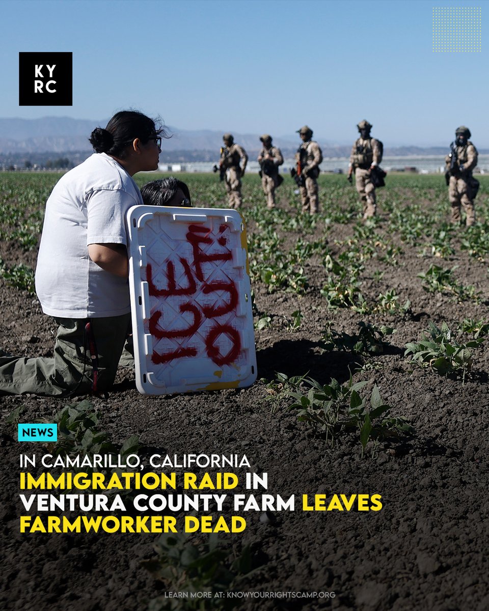 Know Your Rights Camp (@yourrightscamp) on Twitter photo Immigration Raid In Ventura County Farm Leaves Farmworker Dead
Link: knowyourrightscamp.org/post/immigrati… Immigration Raid In Ventura County Farm Leaves Farmworker Dead
Link: knowyourrightscamp.org/post/immigrati…
