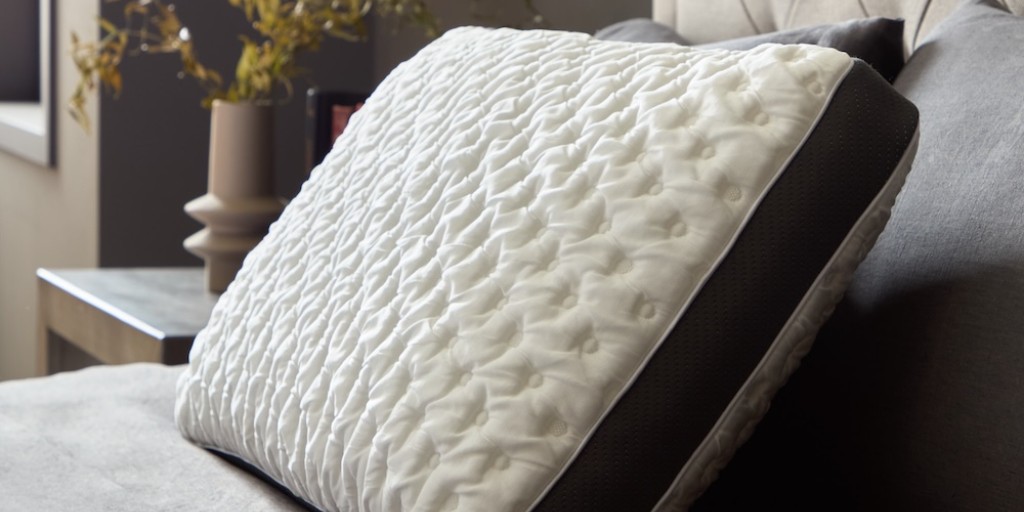 BedTimes Magazine tweet media