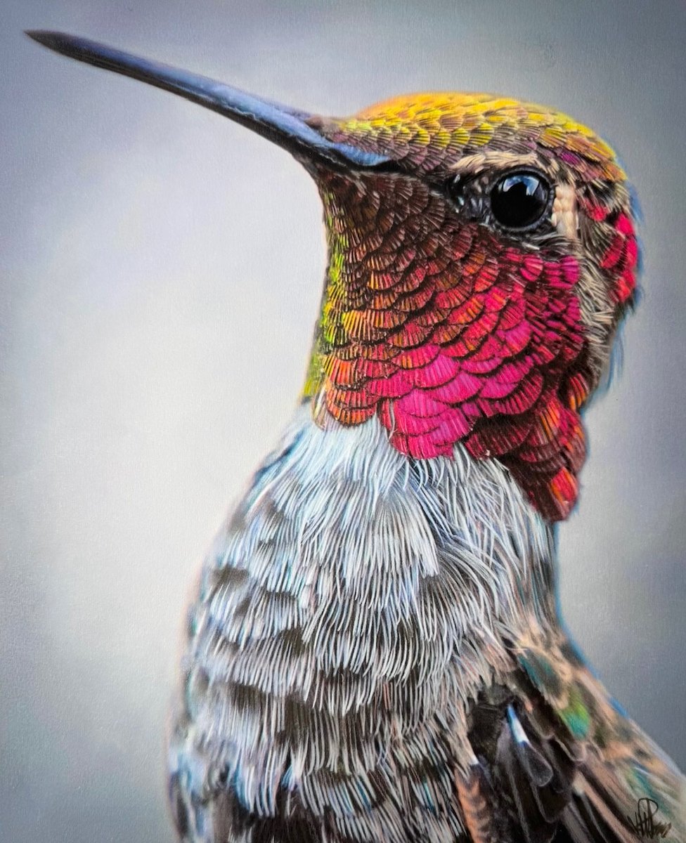 Trailside1963's tweet photo. ✨ J.R. Hess
Jewel of the Southwest
Colored pencil and soft pastel
13h x 10w in (33.02h x 25.40w cm)
hesjr050

In a fleeting flash of iridescence, the desert’s tiniest guardian hovers

#JRHessHummingbird #NatureLovers #BirdArt #ArtCollectors #FineArt #TrailsideGalleries https://t.co/MgKMbHtSKa