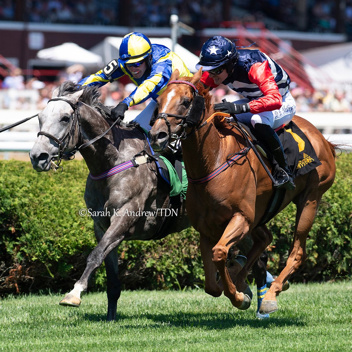 theTDN's tweet image. The third time was the charm for HISTORIC HEART (Fracas) in Wednesday's GI A. P. Smithwick Memorial Handicap as he rallied home to win it by a nose over Proven Innocent at Saratoga Race Course.
Owned by Atlantic Friends Racing and trained by Keri Brion, the 8-year-old gelding…