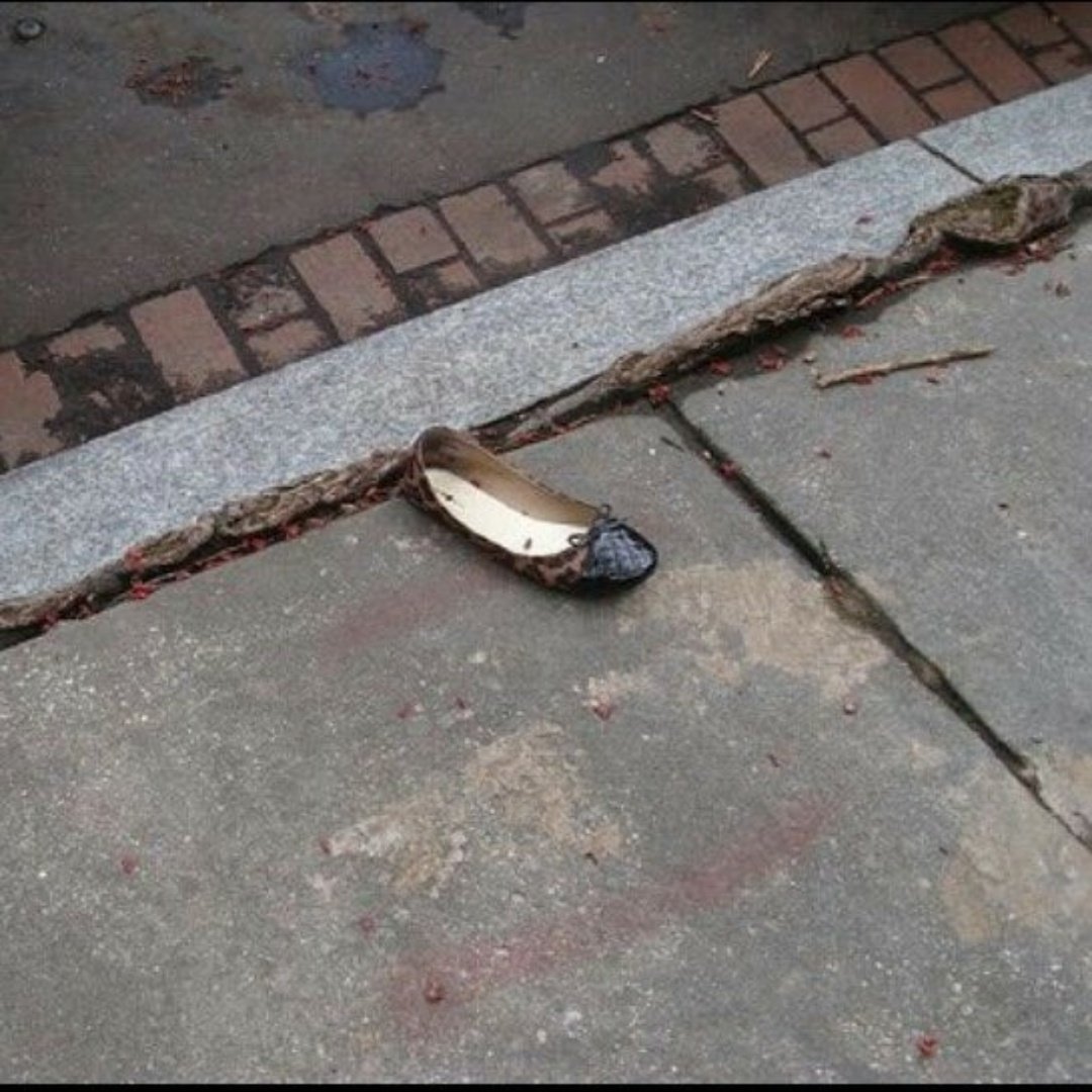 TootslilFighter's tweet photo. Who would have ever thought. 😂
#HillarysHealth
#HillaryClinton
#Russiagate https://t.co/vu1QNQPna9