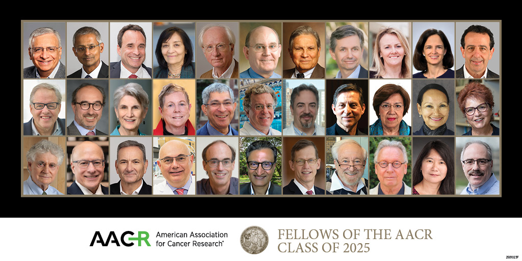 AACRFoundation's tweet image. Thirty-three distinguished scientists whose major innovations have propelled progress against cancer were inducted as Fellows of the @AACR Academy at #AACR25. Meet the 2025 #AACRFellows class: brnw.ch/21wUnlD