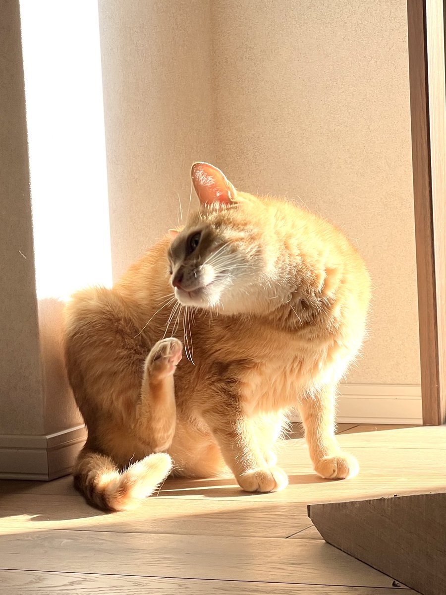 a_chocott's tweet image. おはようございます。
僕がいいなって思うのは、自分がコントロールできることにフォーカスしている人。
周囲に惑わされたり、他人に何かを押し付けたりしない。
一流のアスリートなんかもそうだよね。相手のことはコントロールできないので、自分のことに集中するみたいな。…