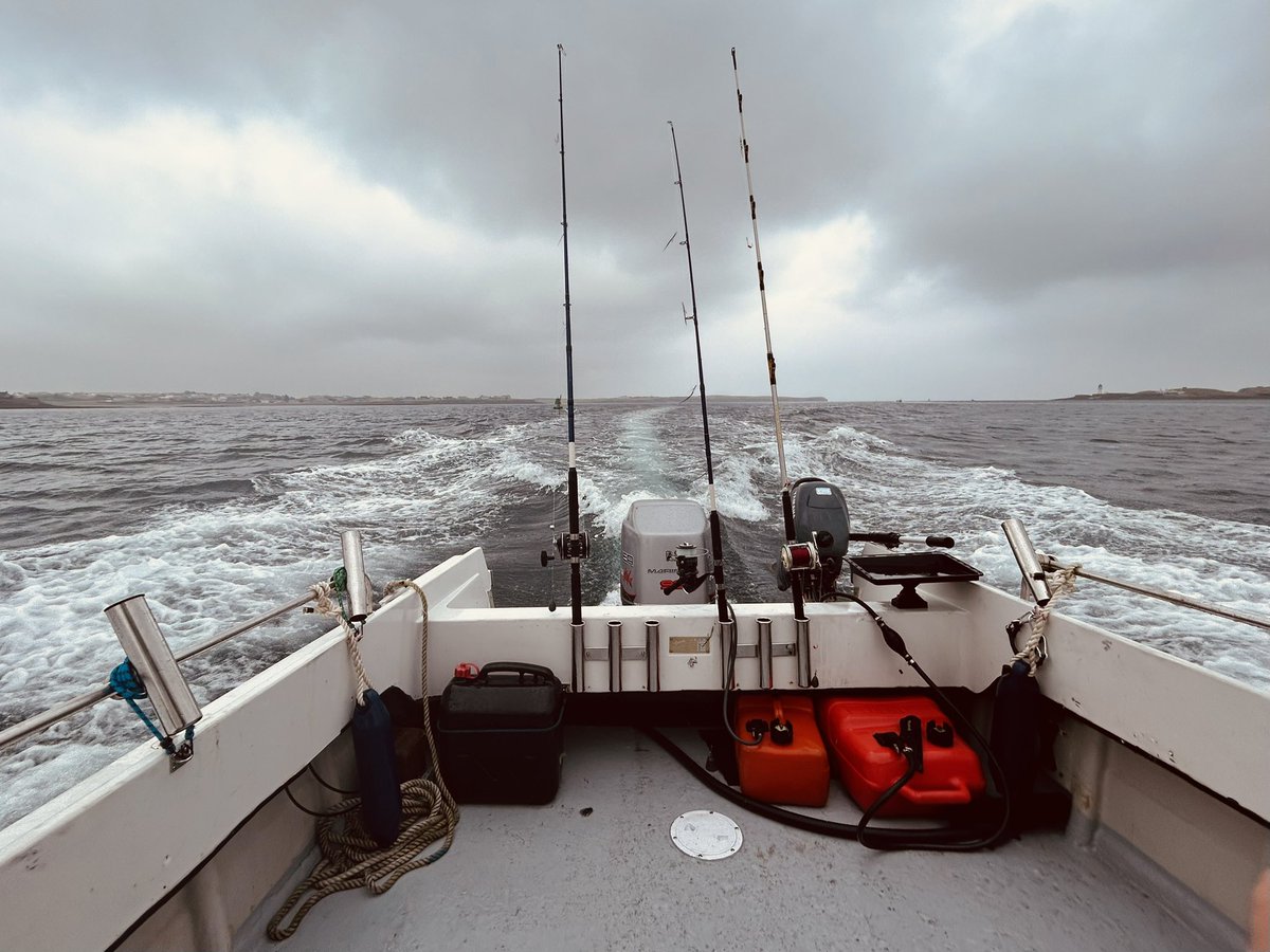 jmgillies's tweet image. Had a great trip on the water today with family. Fishing was decent but the highlight was definitely watching a pair of golden eagles circling above us. Majestic birds.
