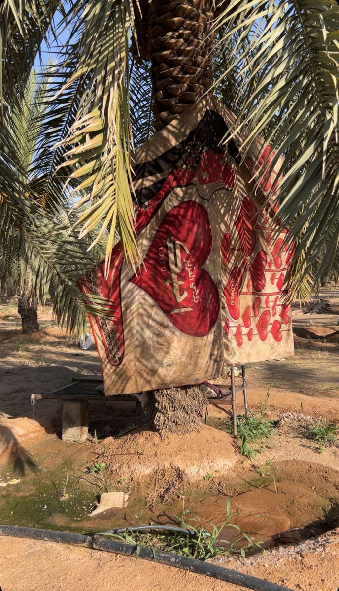 قصمان🌴 | كود نمشي Qsmnj (@qsmnj) on Twitter photo 