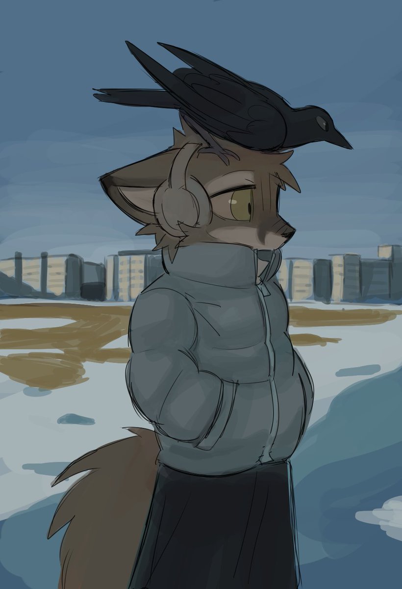 mellowollie's tweet image. 
