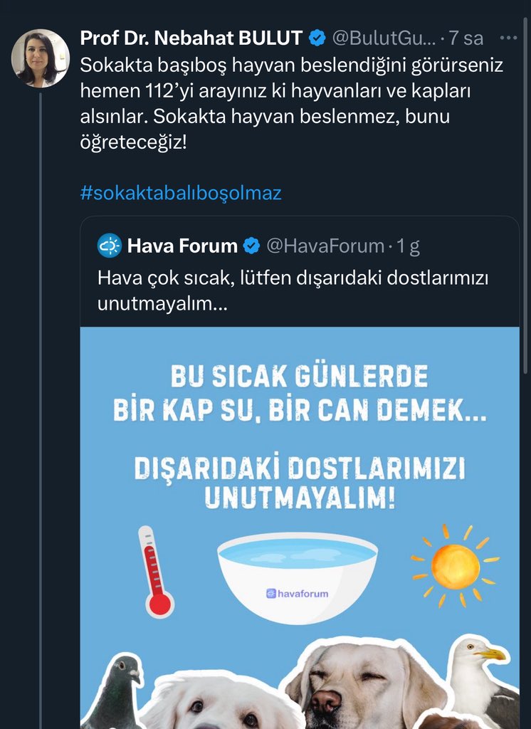 bu kadınla bissürü ortak takipçim var. umarım önlerine düşer bu yazdığı.