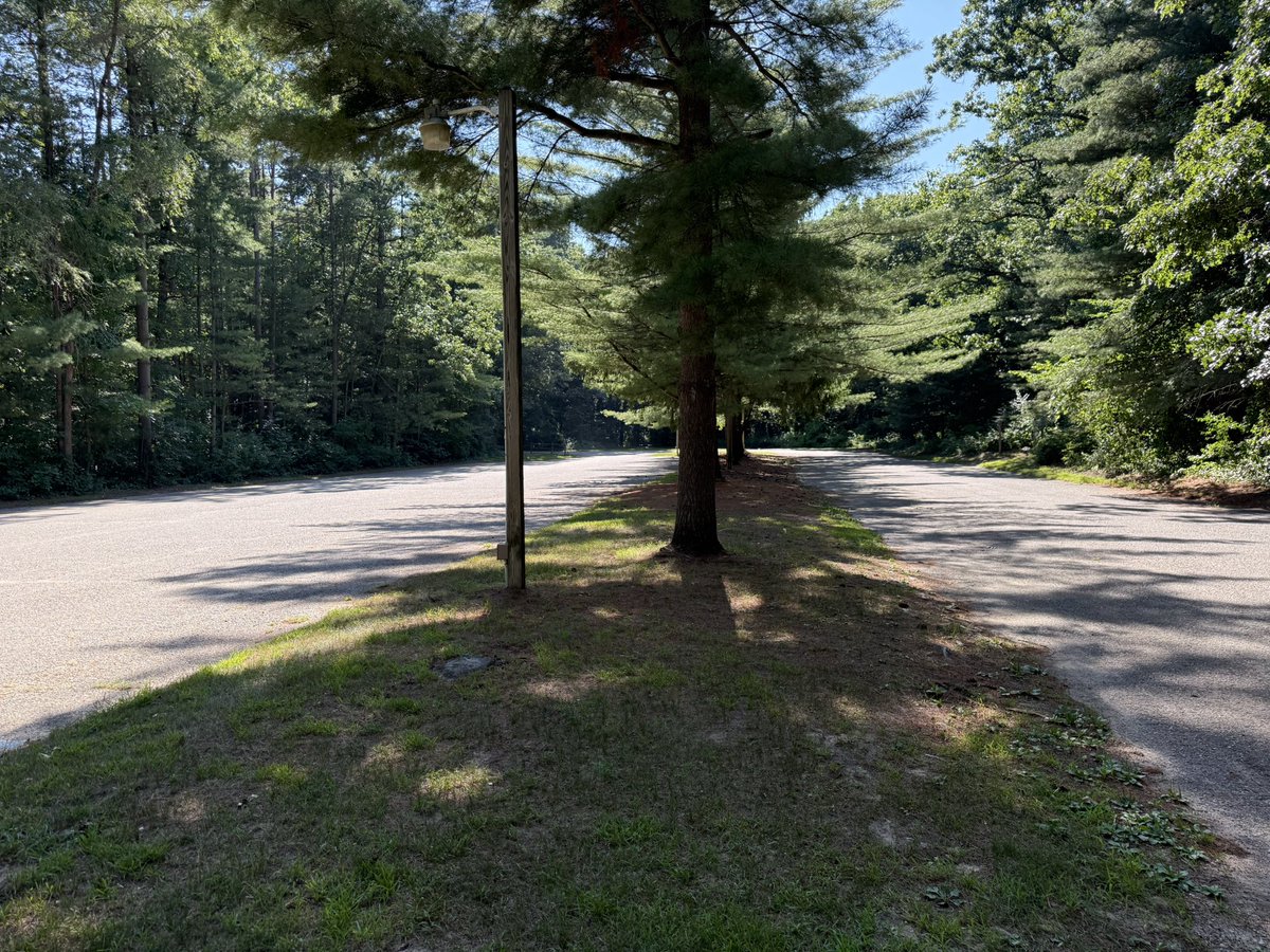 Gryph911's tweet image. I got off work late so I made it to the trails late. No woodland fren but it was too hot for the new locals, the parking lot was empty, and high works too