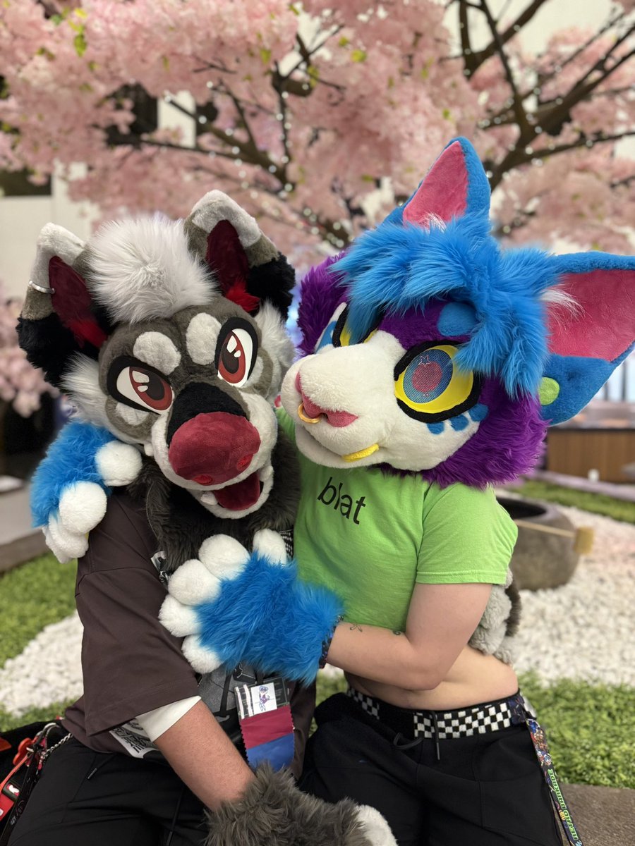 cattledoq's tweet image. 2 years with the love of my life &amp;lt;3