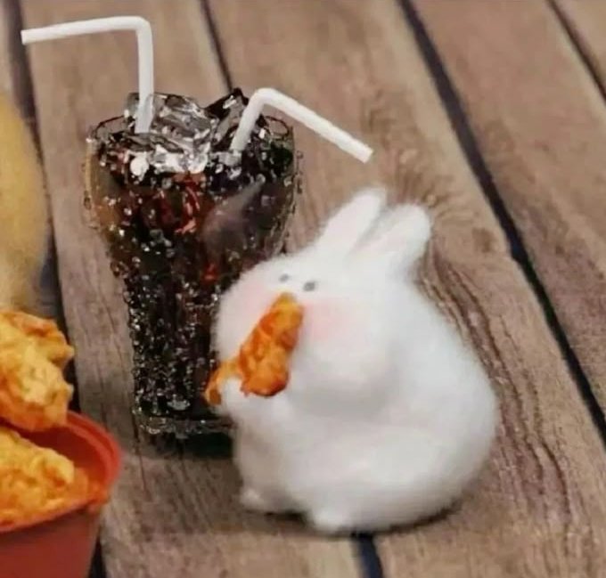 Dramatica_01's tweet image. Imagínate hablar mal de mí y yo esté así en mi habitación mirando YouTube y jugando Minecraft