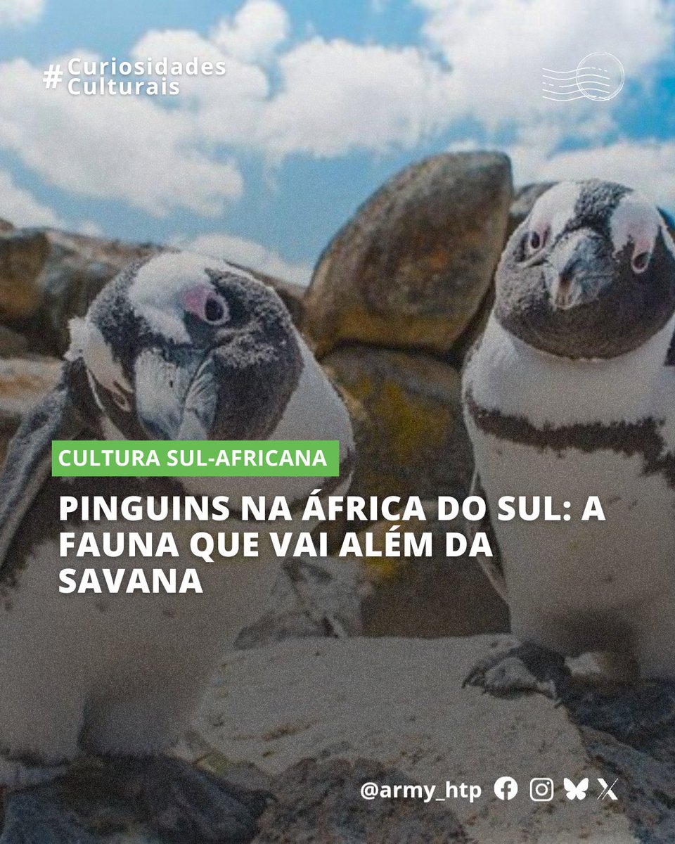ARMY_HTP's tweet image. 💭| CULTURA SUL-AFRICANA
Quando pensamos em uma viagem à África do Sul, a imagem que geralmente vem à mente é a da vasta savana, com majestosos felinos, elefantes, rinocerontes e girafas perambulando livremente sob o sol africano. O país é, sem dúvida, um paraíso para os amantes…