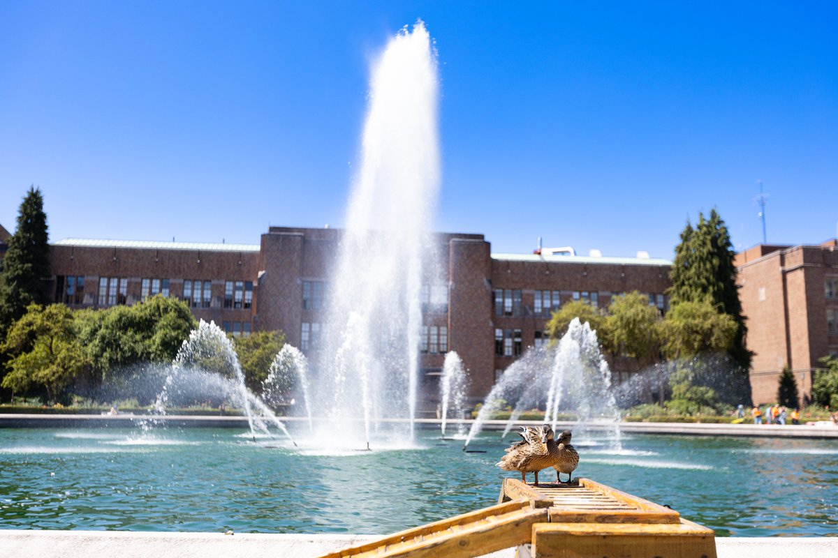 UW's tweet image. So photogenic. 😎🌲💜