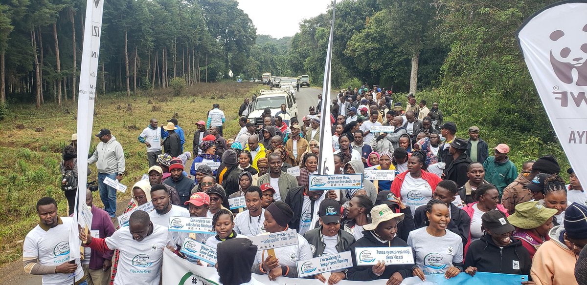 0Bnderitu's tweet photo. The first leg of #JourneyofWater this year flagged off in Tanzania, at #riverkimengelia and which will go up to it's lower catchment areas at #rivernoolturesh in #kajiadocounty. We are walking to save our waters #nowaternolife #mitosafinijukumuletusisisote
#voices4rivers #C2T https://t.co/nvZNlK97ZJ