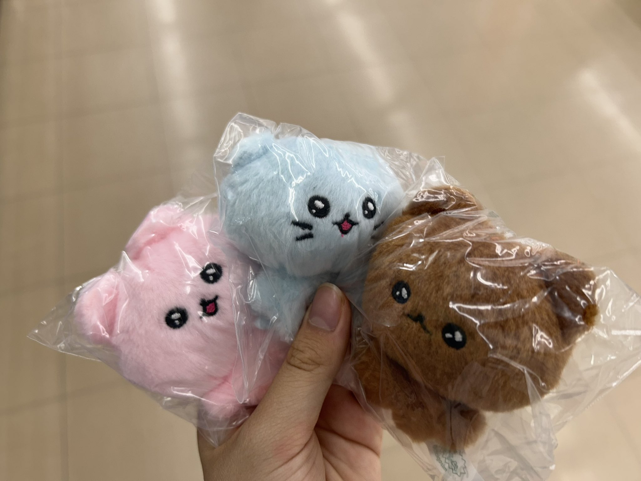 うさうさき♥3点おまとめ♥⁠◍⁠•⁠ᴗ⁠•⁠◍⁠)⁠❤ F-lMFQ-aoAAKIn4.jpg:large