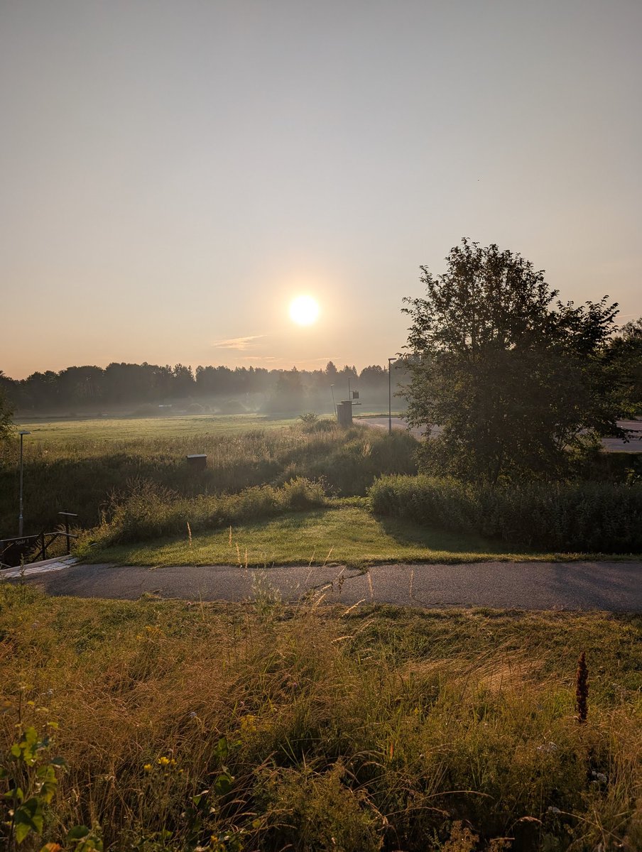 gamedin_77's tweet image. Go morgon top-torsdag! Vi kom i väg i dag med, 

Ha en awesume torsdag Tjääääna! ☕🤩✅

#oftoworkwego✅