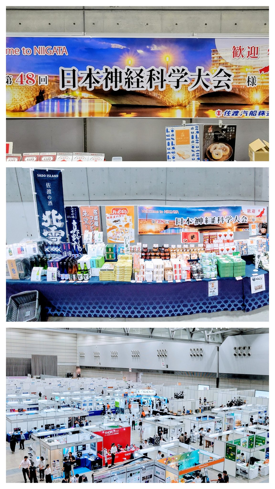 希少 非売品 志村化工 エス・サイエンス さらなる輝きを求めて 記念本 企業 希少 非売品 志村化工 エス・サイエンス さらなる輝きを求めて