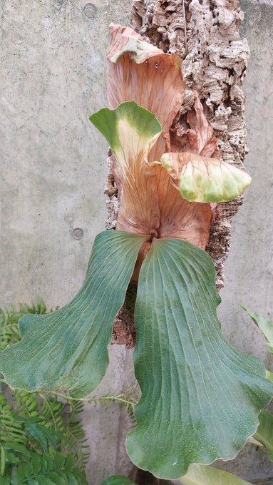 2代目エレファント

今度こそ
幸せにしてみせる 