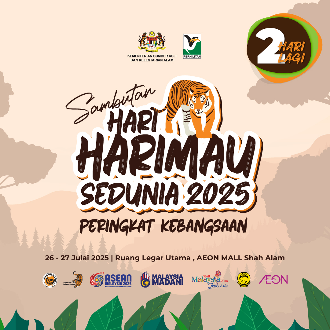 PERHILITAN's tweet image. 🐅 2 HARI LAGI! 🐅
Ayuh sertai kami dalam Sambutan Hari Harimau Sedunia 2025 Peringkat Kebangsaan! 🧡🐯
📅 Tarikh: 26 – 27 Julai 2025
📍 Lokasi: Ruang Legar Utama, AEON Mall Shah Alam
Pelbagai aktiviti menarik menanti anda