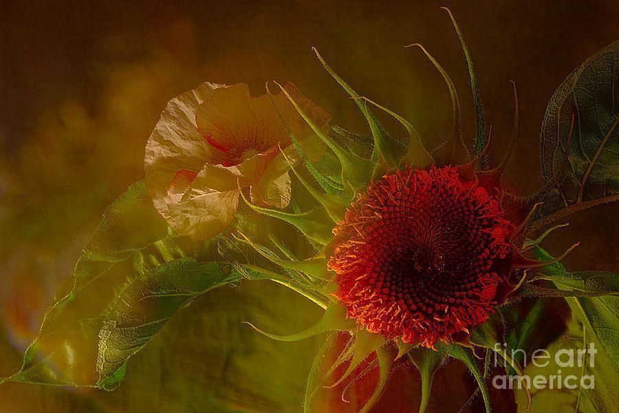 photographervin's tweet image. Before The Beauty Of Summer Goes Away alexander-vinogradov.pixels.com/featured/befor…
#avinogradovflowers #photographyisart #nature #AlexanderVinogradov #photoghraphy #flower #floralart #beautiful #print #giftidea #buyintoart #ArtSale #wallart #YearforArt #ArtLovers #BeautyinArt #FlowersOnX #garden
