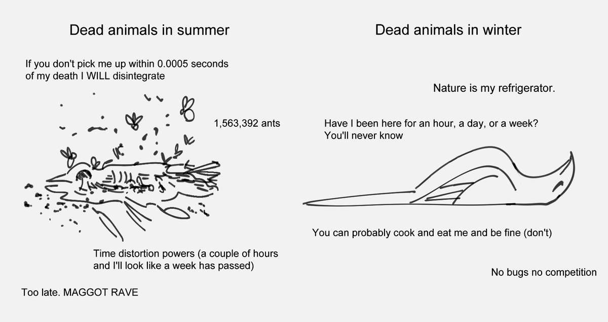 SnakeDraws's tweet image. Meme for taxidermy/vulture culture people specifically