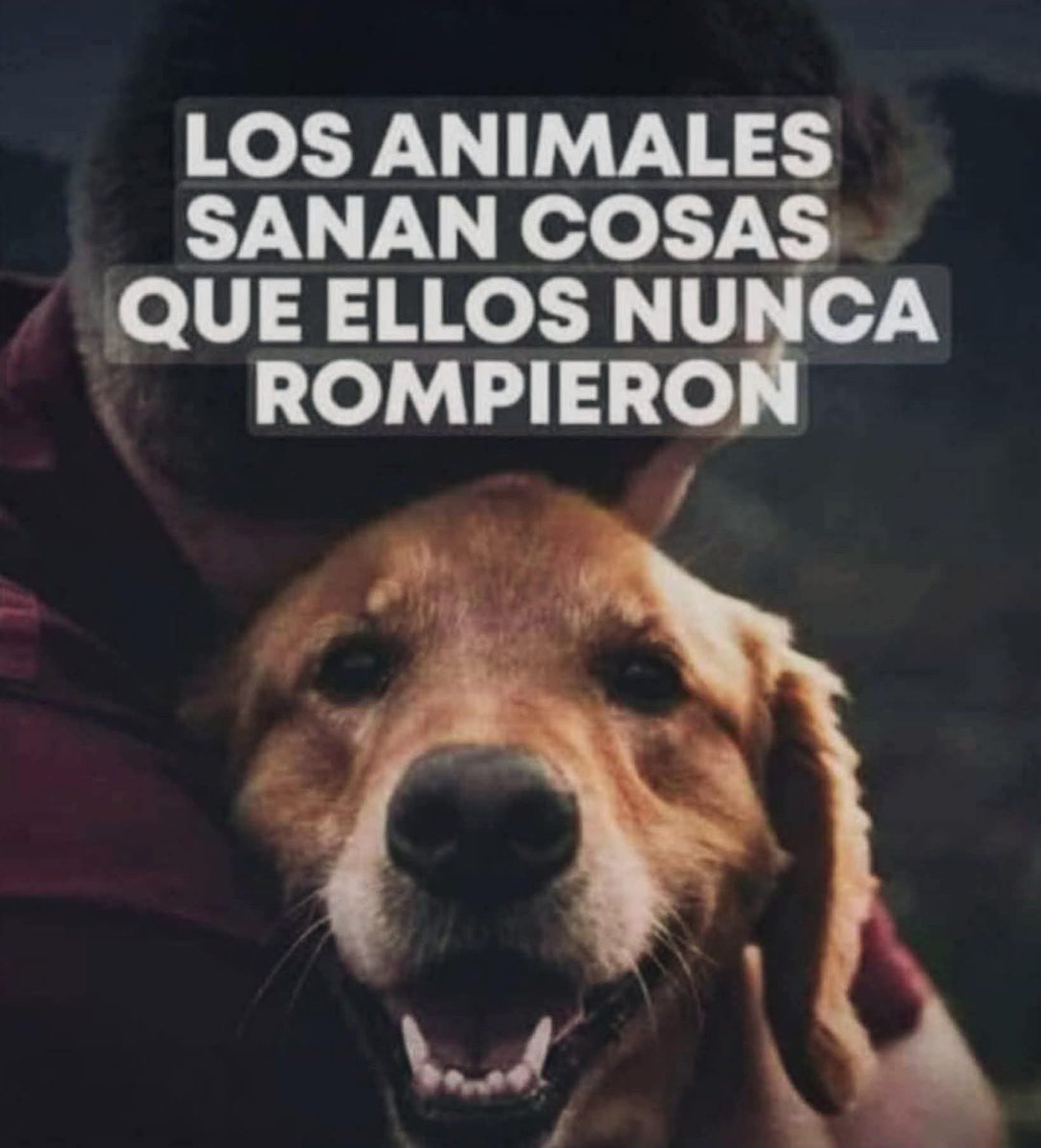 Ivette Berrio (@ivetteodalys) on Twitter photo 