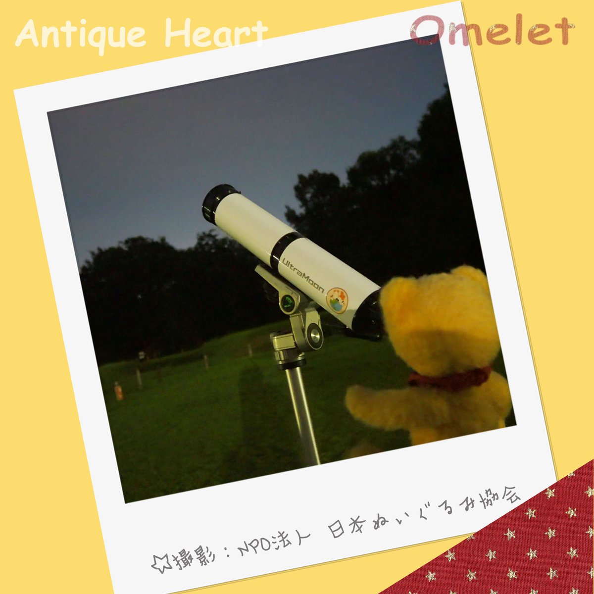 Omelet_LS's tweet photo. こうえんで星をかんさつしたよ～（*・ω・）

 #ぬい劇場
 #ぬい撮り
 #テディベア
 #オムレット
 #望遠鏡
 #日本ぬいぐるみ協会 https://t.co/BeLyXmQd6t