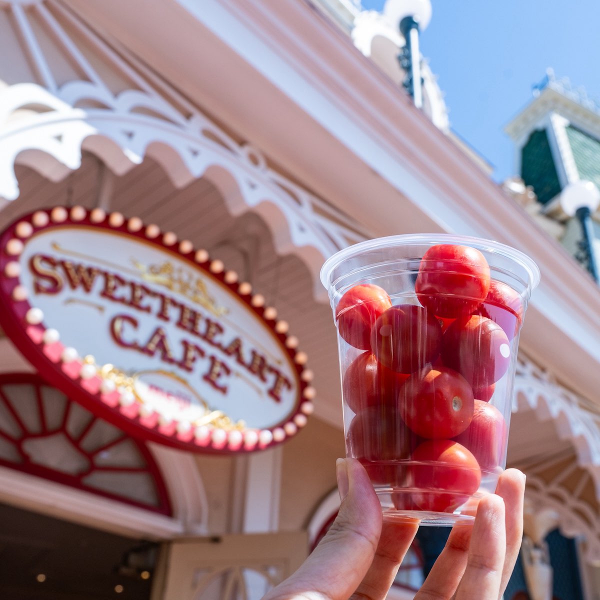 トマト adidas Flavors of the World - Spain/Tomato | Hypebeast